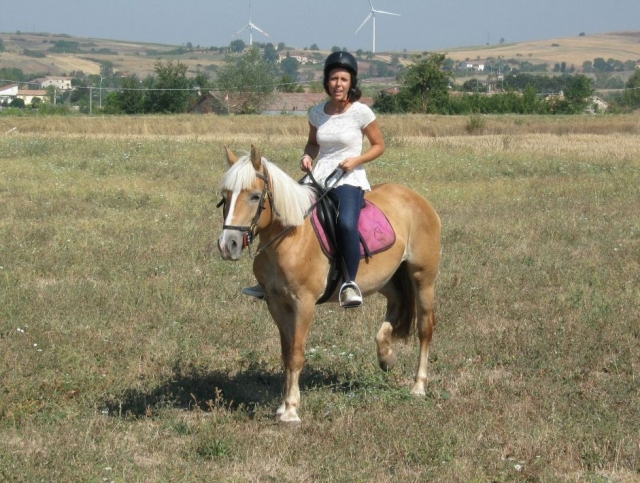  Excursiones seguras 